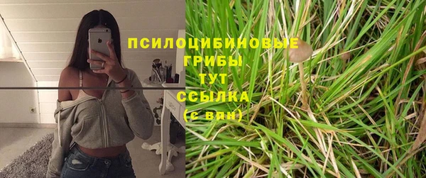 ПСИЛОЦИБИНОВЫЕ ГРИБЫ Саяногорск