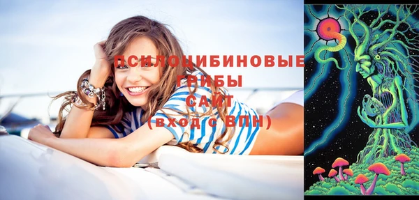 ПСИЛОЦИБИНОВЫЕ ГРИБЫ Саяногорск
