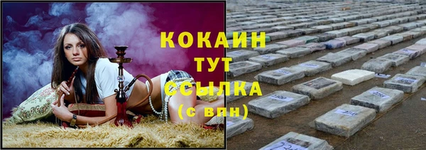 мдпв Семилуки