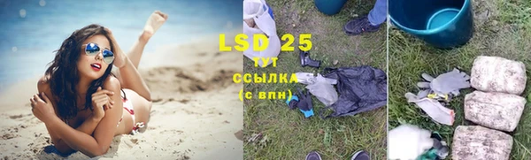ПСИЛОЦИБИНОВЫЕ ГРИБЫ Саяногорск